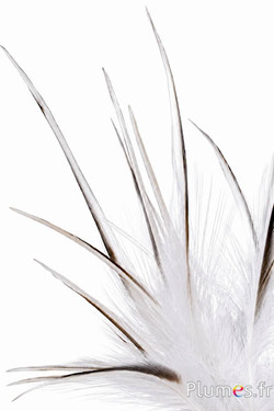 Reiger - 13-16 cm - wit-crème-grijs natuurlijk